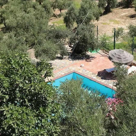 Cortijo El Marques شقة