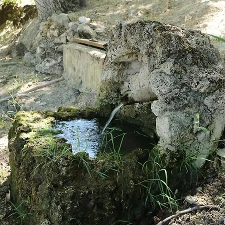 Cortijo El Marques كيسادا