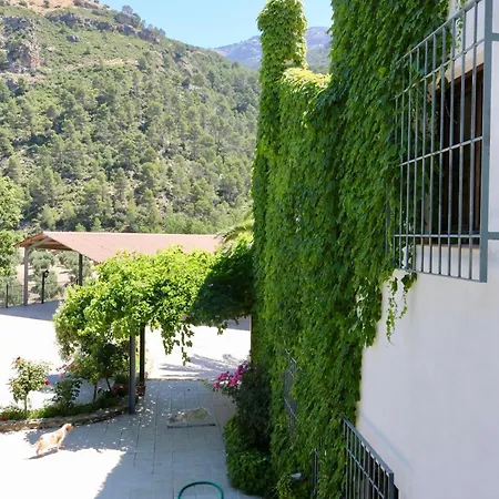 شقة Cortijo El Marques كيسادا
