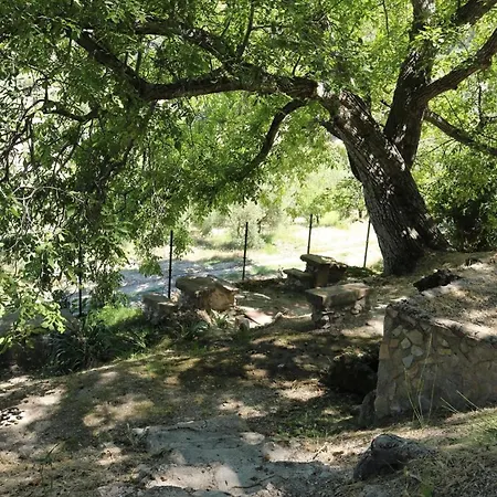 Cortijo El Marques شقة *